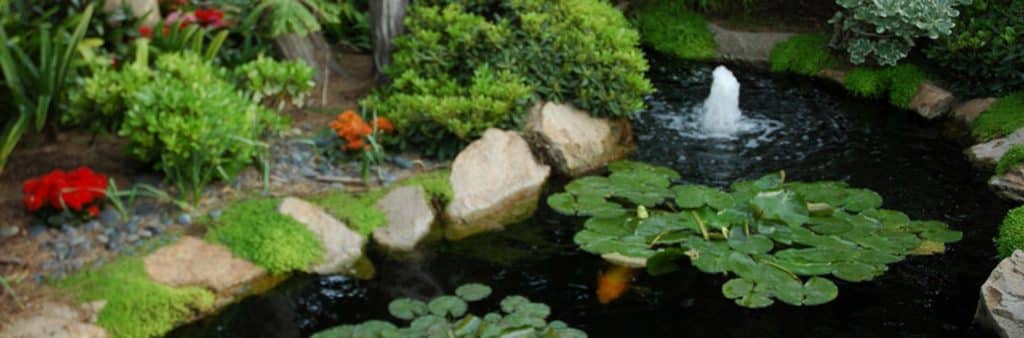 fishpondcleaner-2