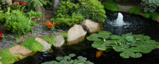 fishpondcleaner-2