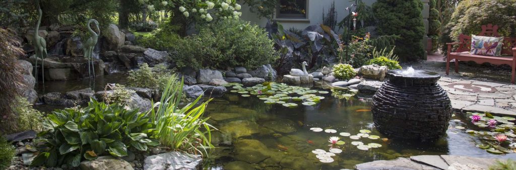 fishpondcleaner-5