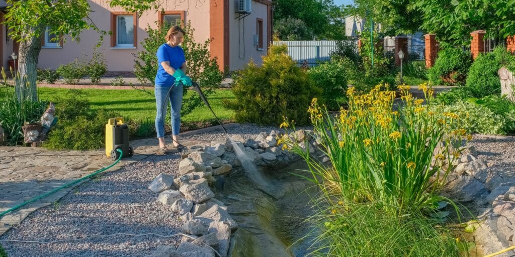 Fish Pond Cleaning