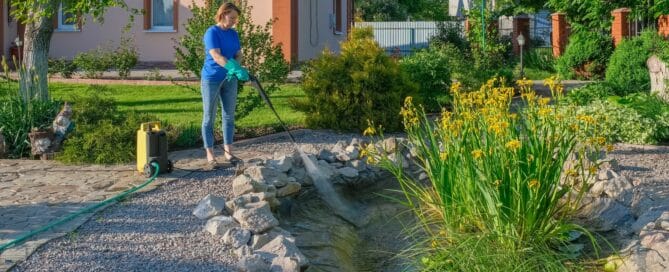 Fish Pond Cleaning