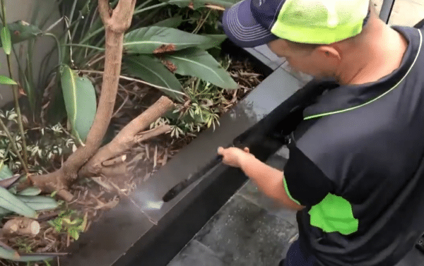 Cleaning a fishpond