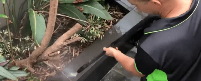 Cleaning a fishpond