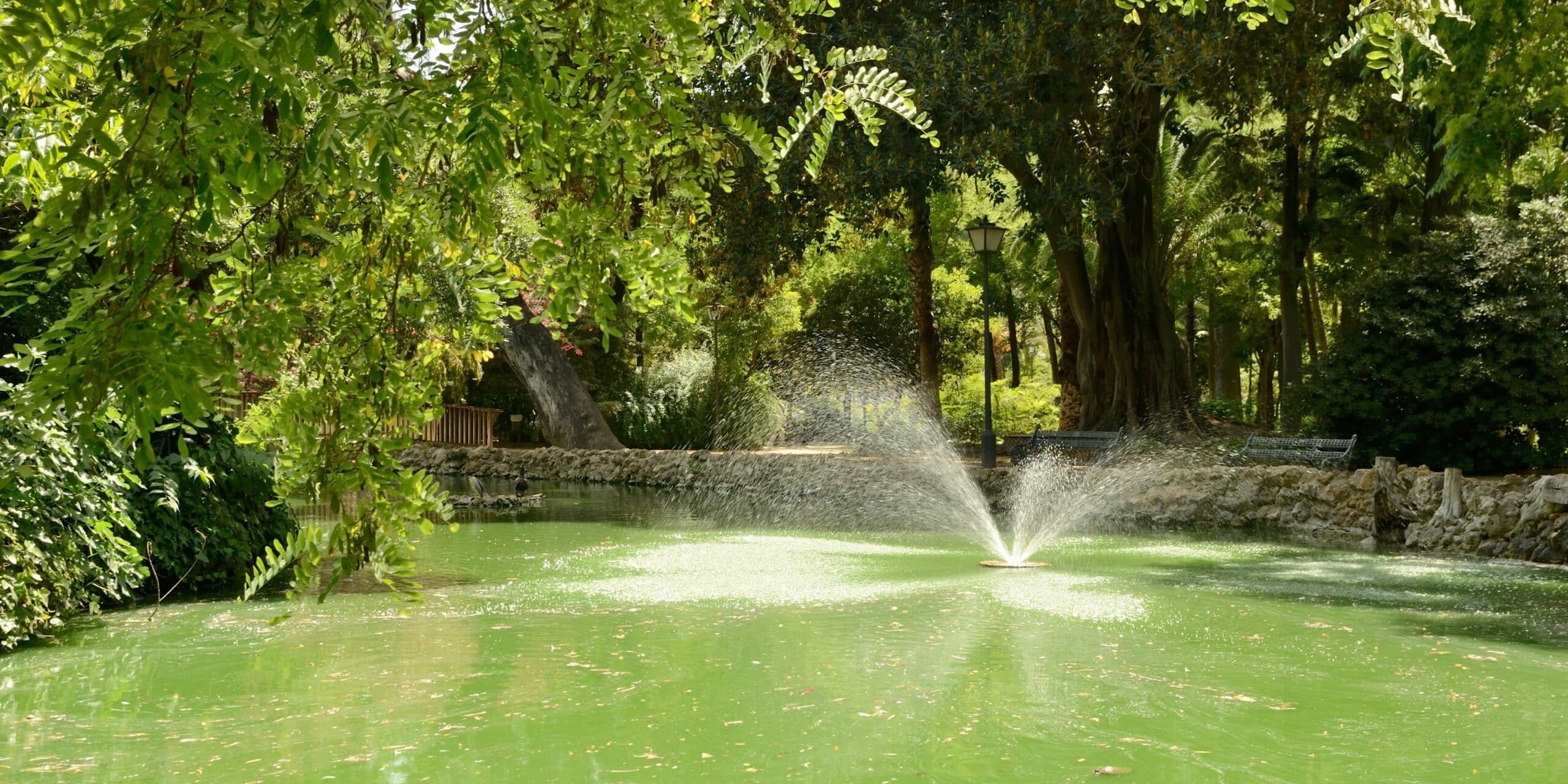 Pond with a water sprinkler 