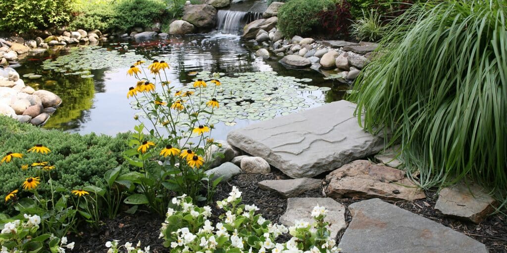 Fish Pond