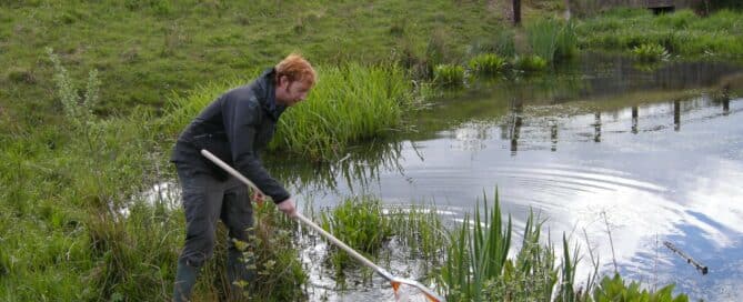 Cleaning the pond