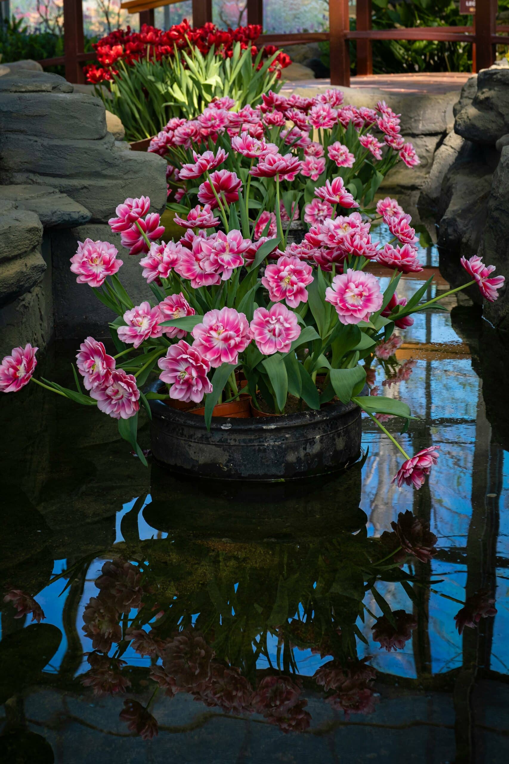 Fishpond Decor