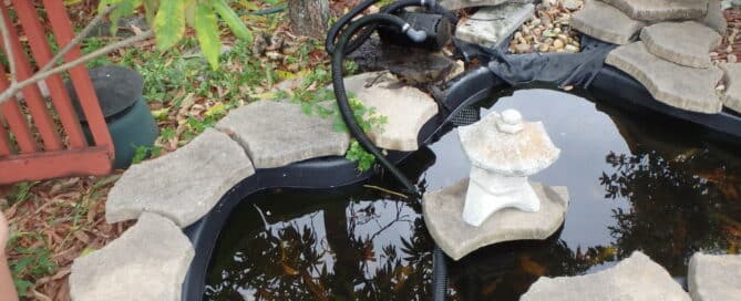 Fishpond Pump