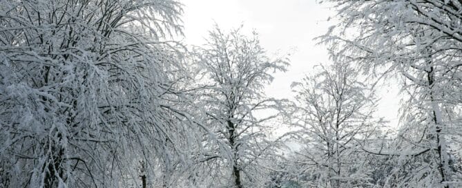 Frozen Pond