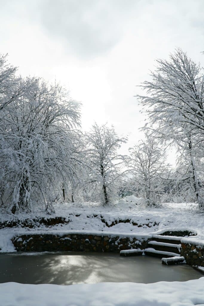 Frozen Pond