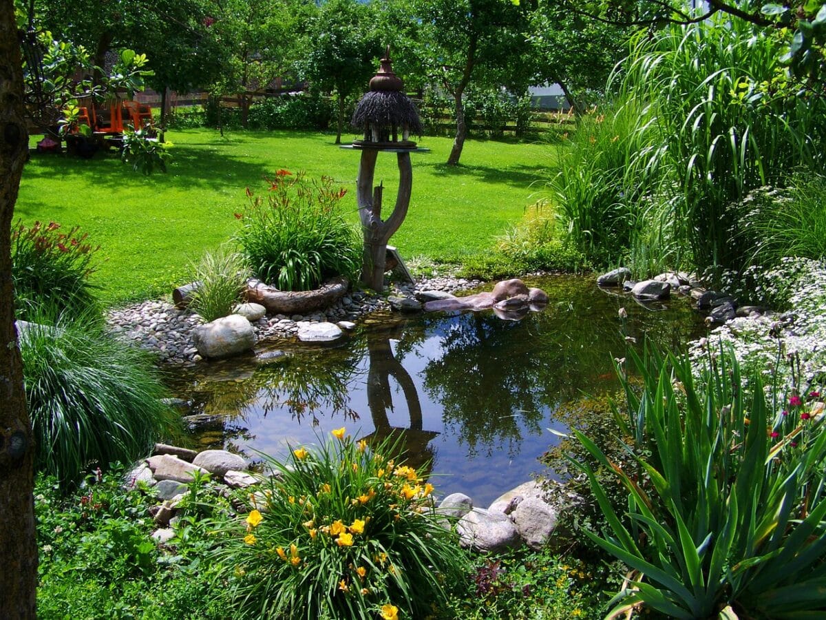 Garden Pond