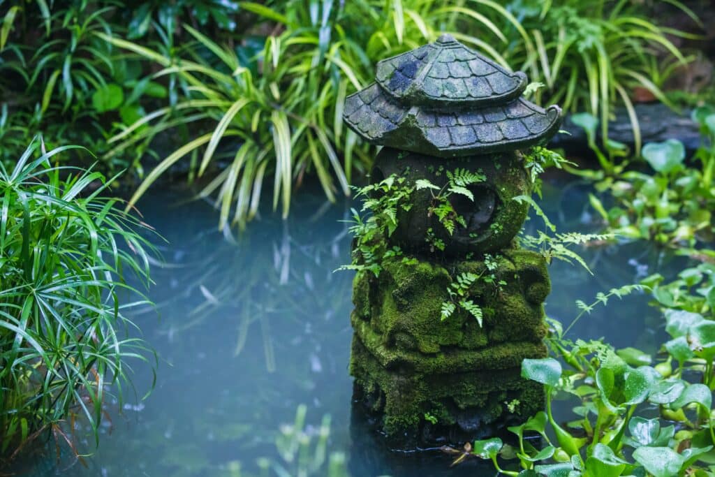 Garden Pond