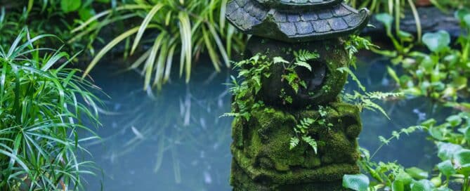 Garden Pond