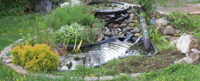 Pond Construction
