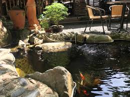 Commercial Fish Pond