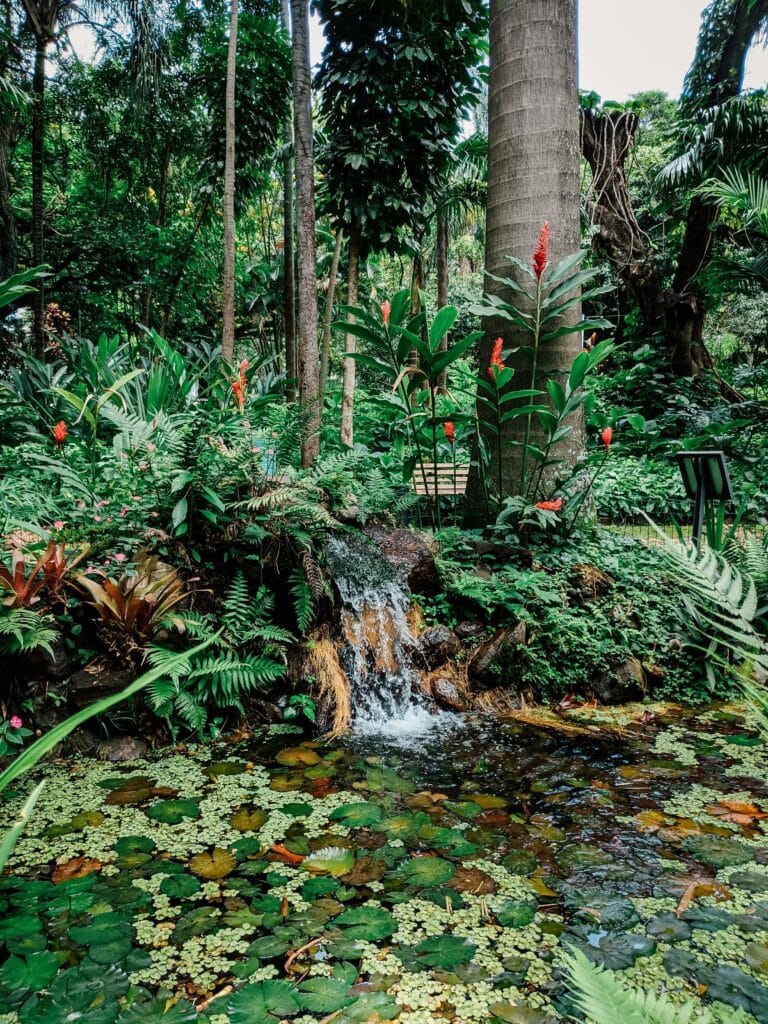 Pond Waterfall