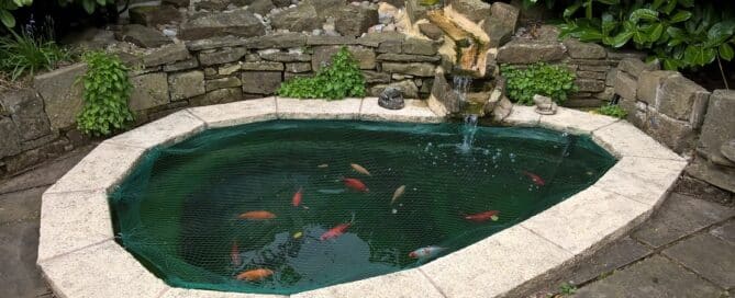 Fish Pond Filter