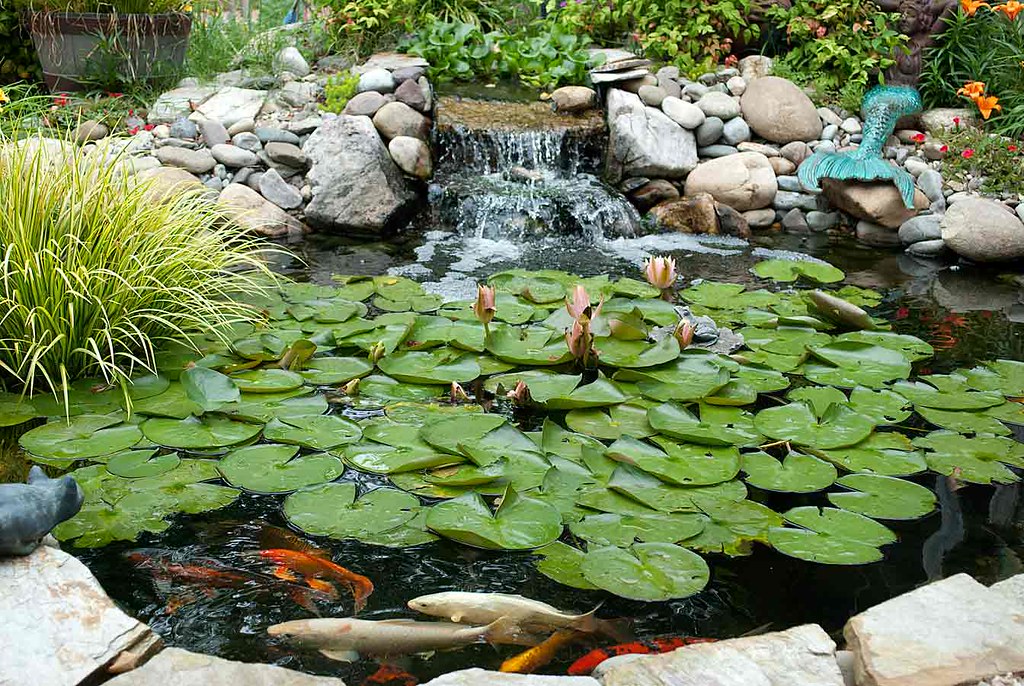 Fishpond Waterfall