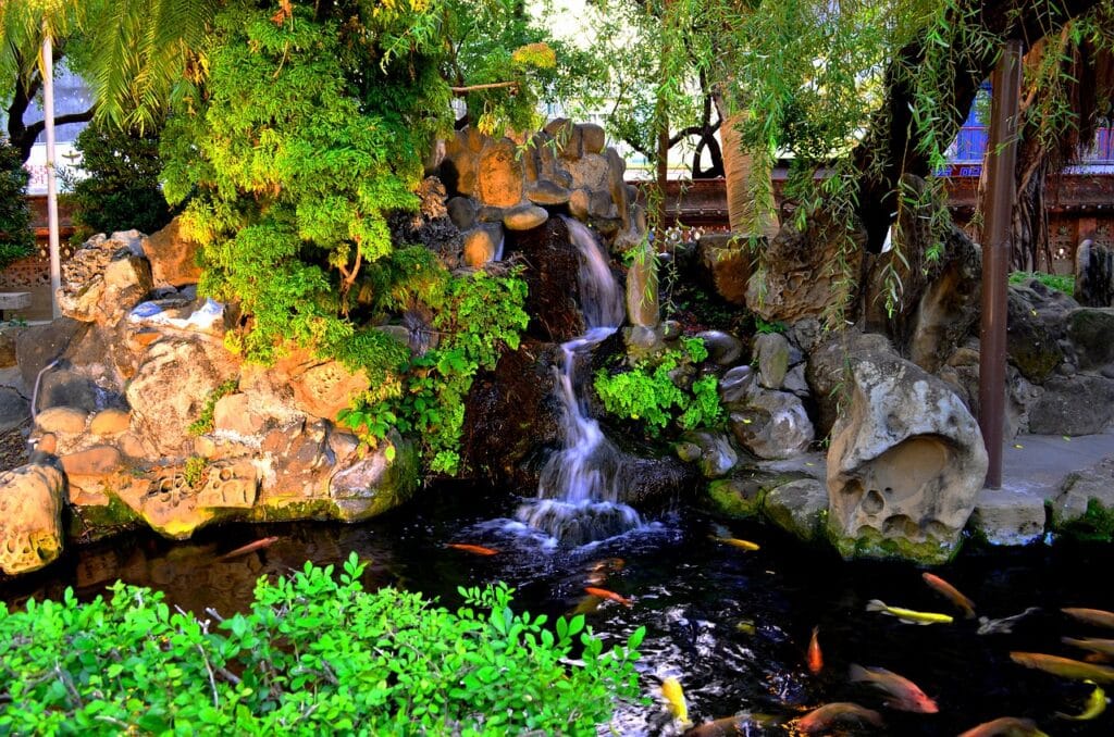 Fish Pond Waterfall