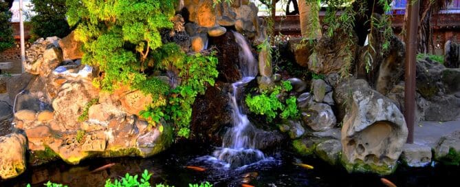 Fish Pond Waterfall