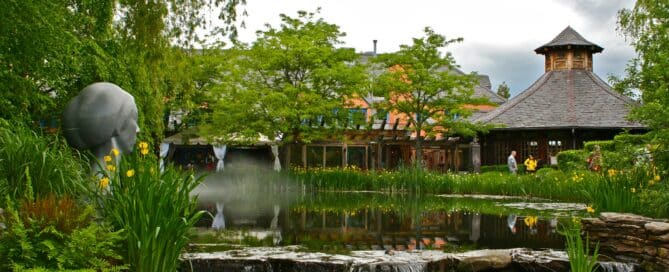 Garden Pond