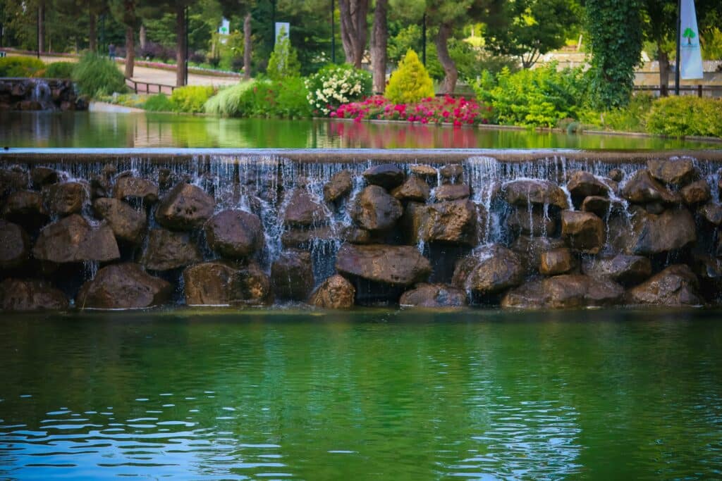 Fish Pond