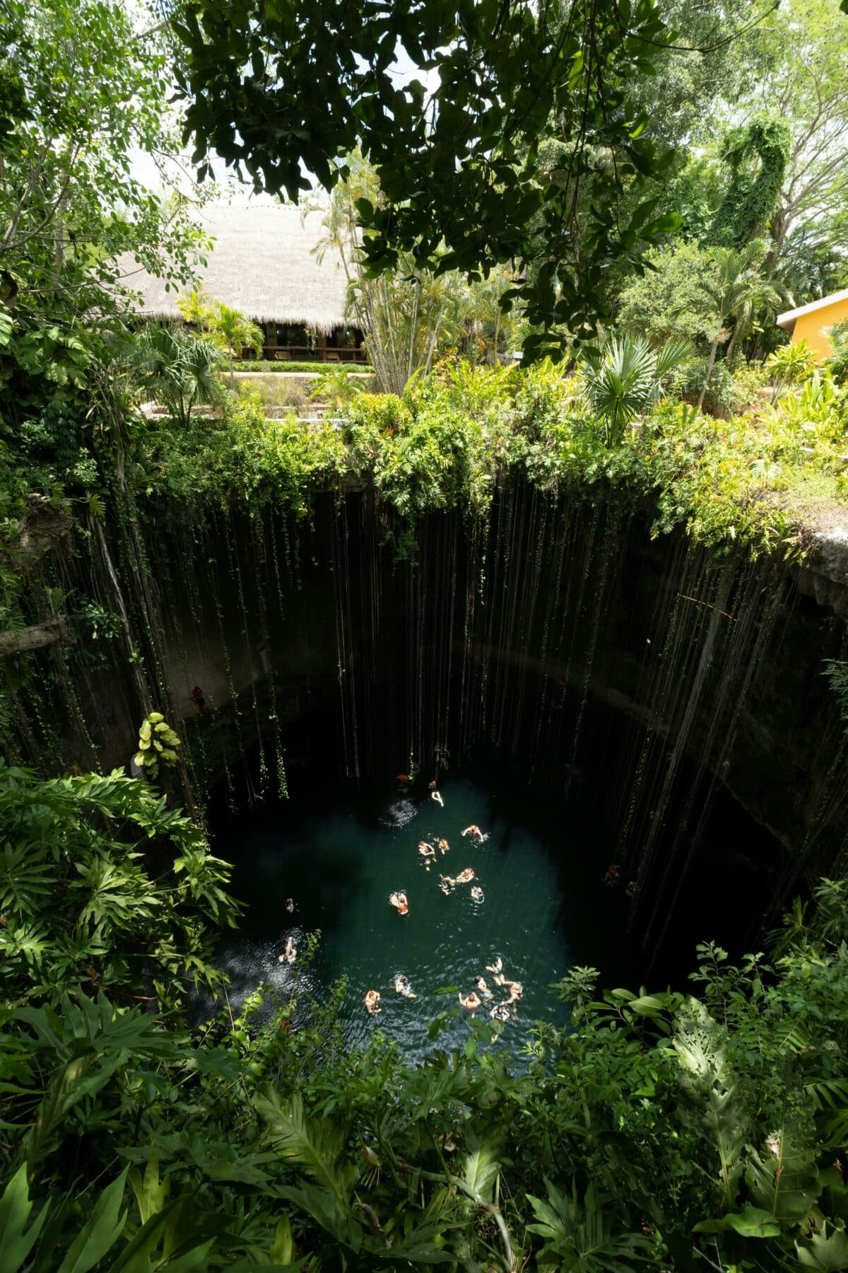 Fish Pond