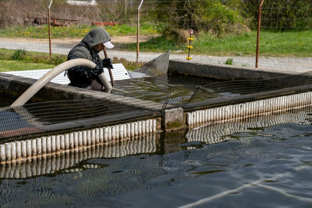 Pond Cleaning and Maintenance