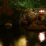 Pond Lighting