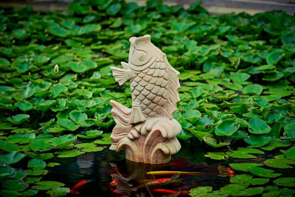 Fish Pond Plants and Decorations